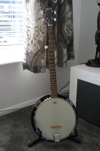 Ozark string banjo - 5,