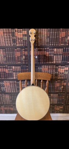 Goldtone string bluegrass - 5,